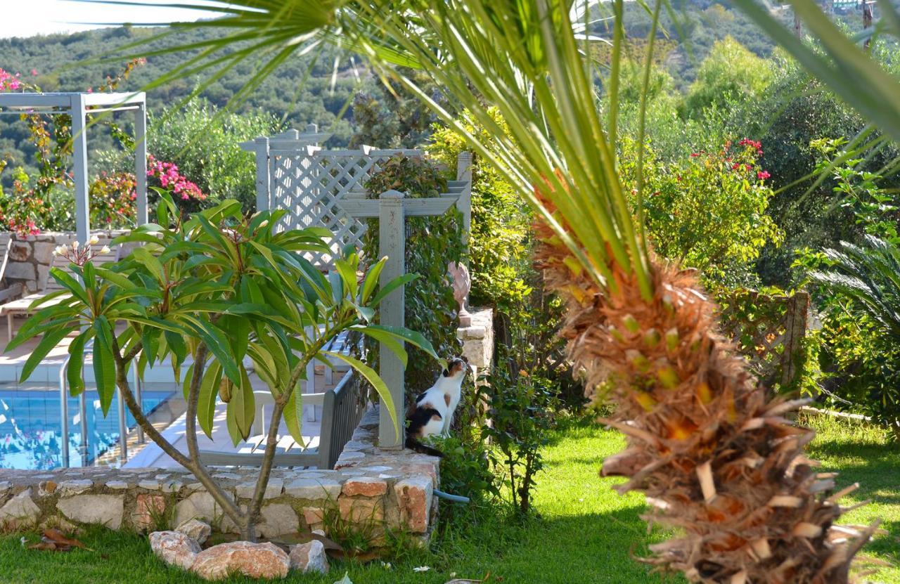 Darmarochori West Crete Chania - Villa Europa מראה חיצוני תמונה